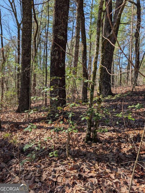 0 Amber LN Ellijay GA 30540