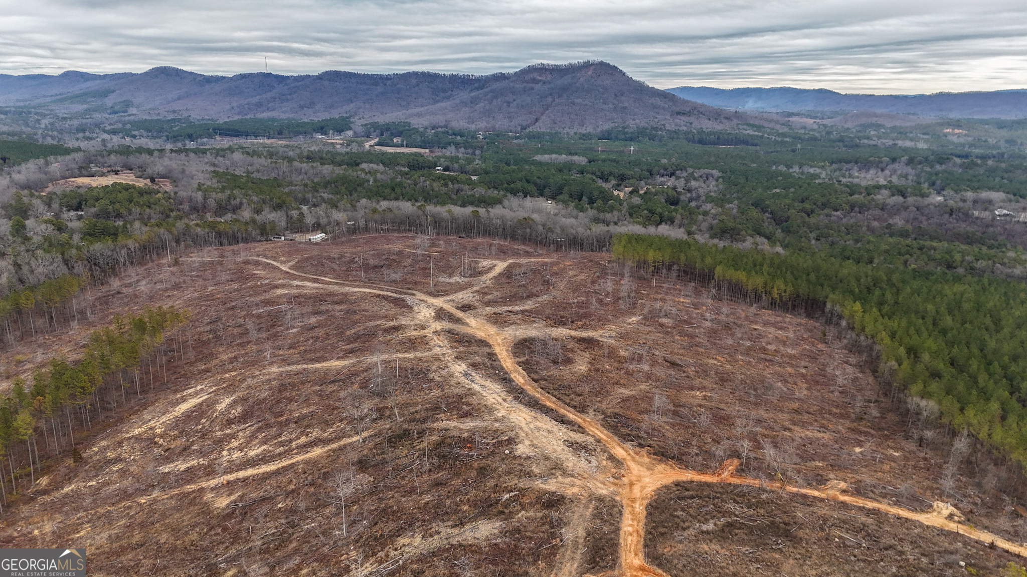 557 Acres on Taliaferro Springs RD