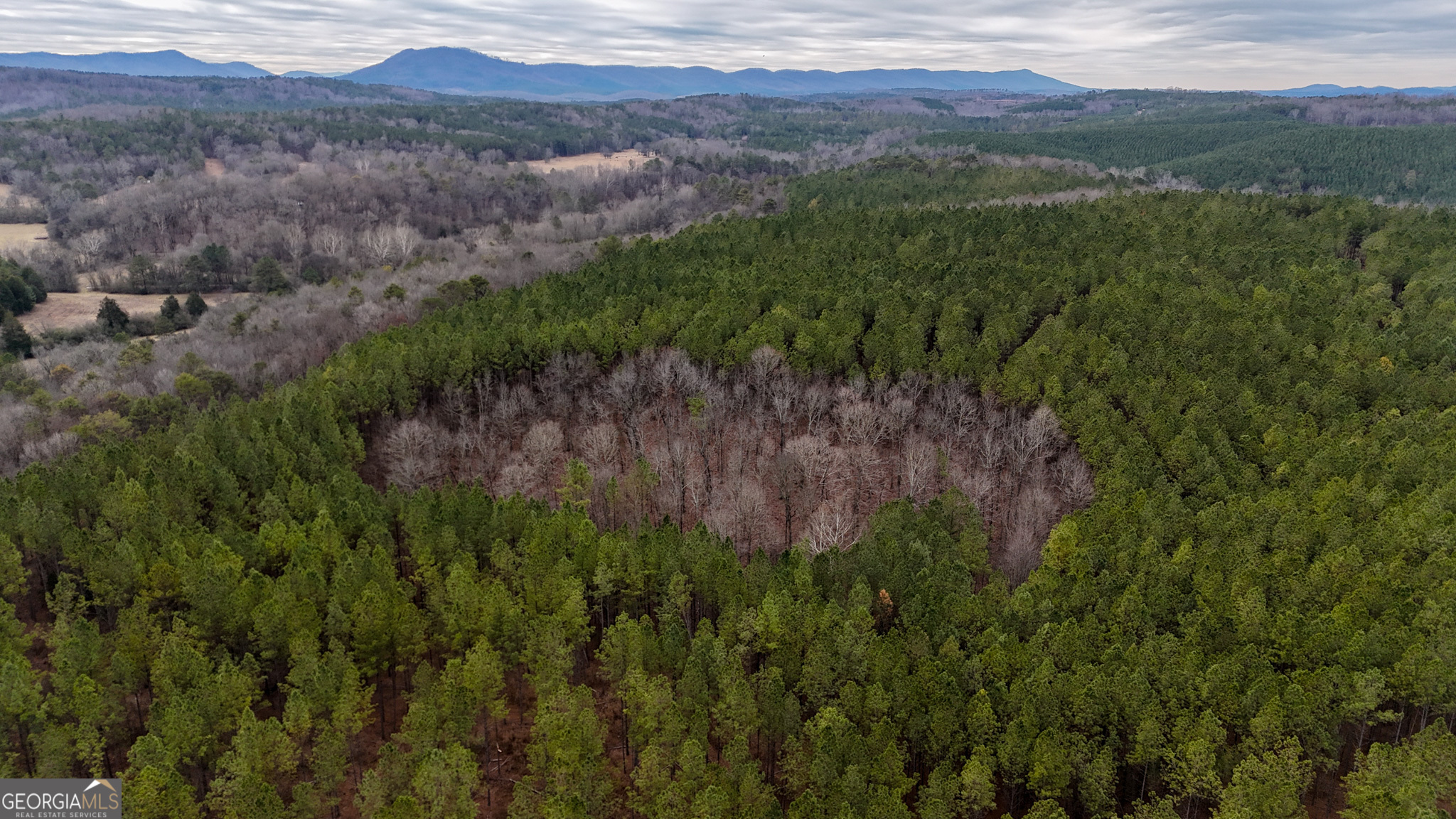 557 Acres on Taliaferro Springs RD