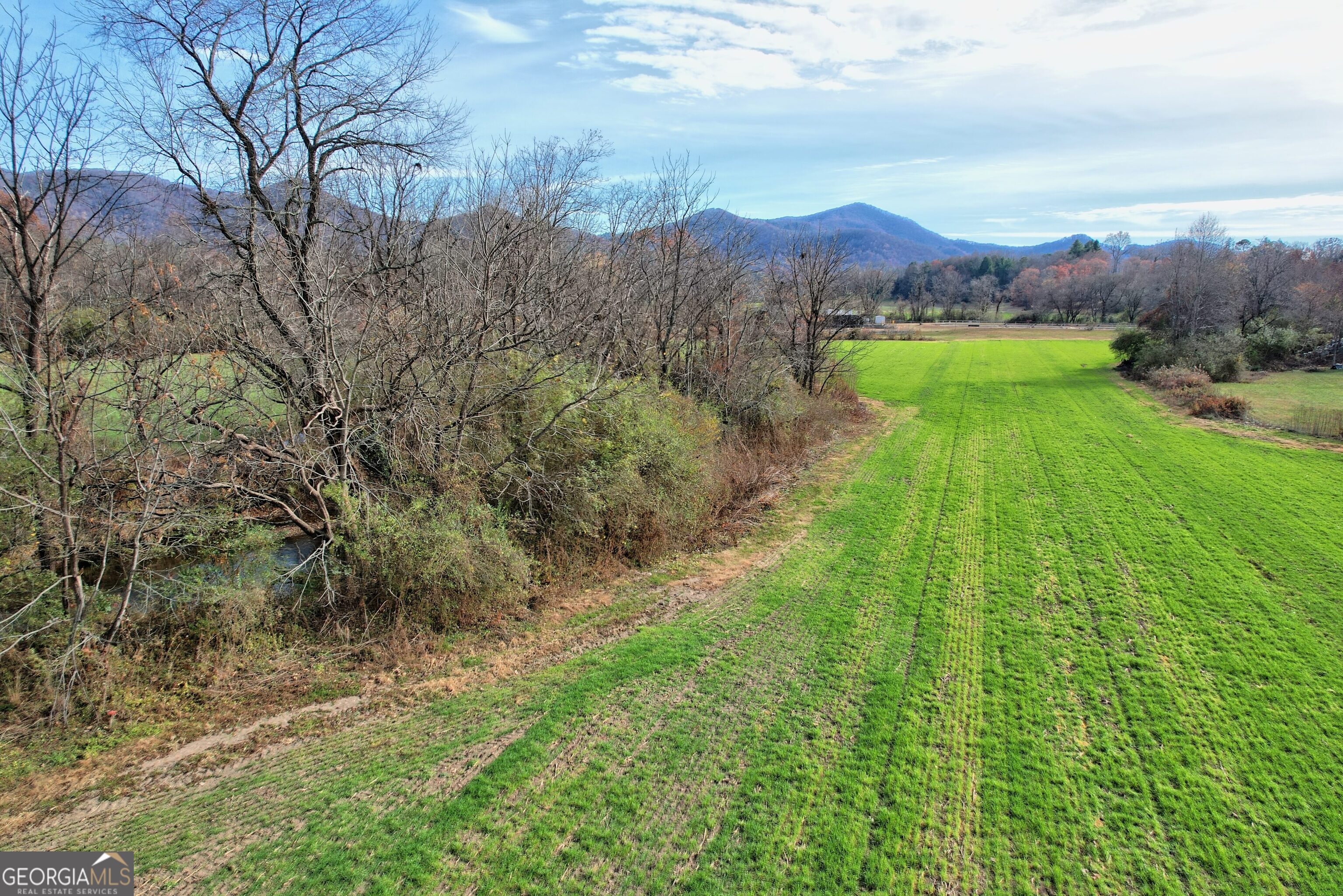 Dillard, Georgia 30537, United States, ,Land,Active,68449