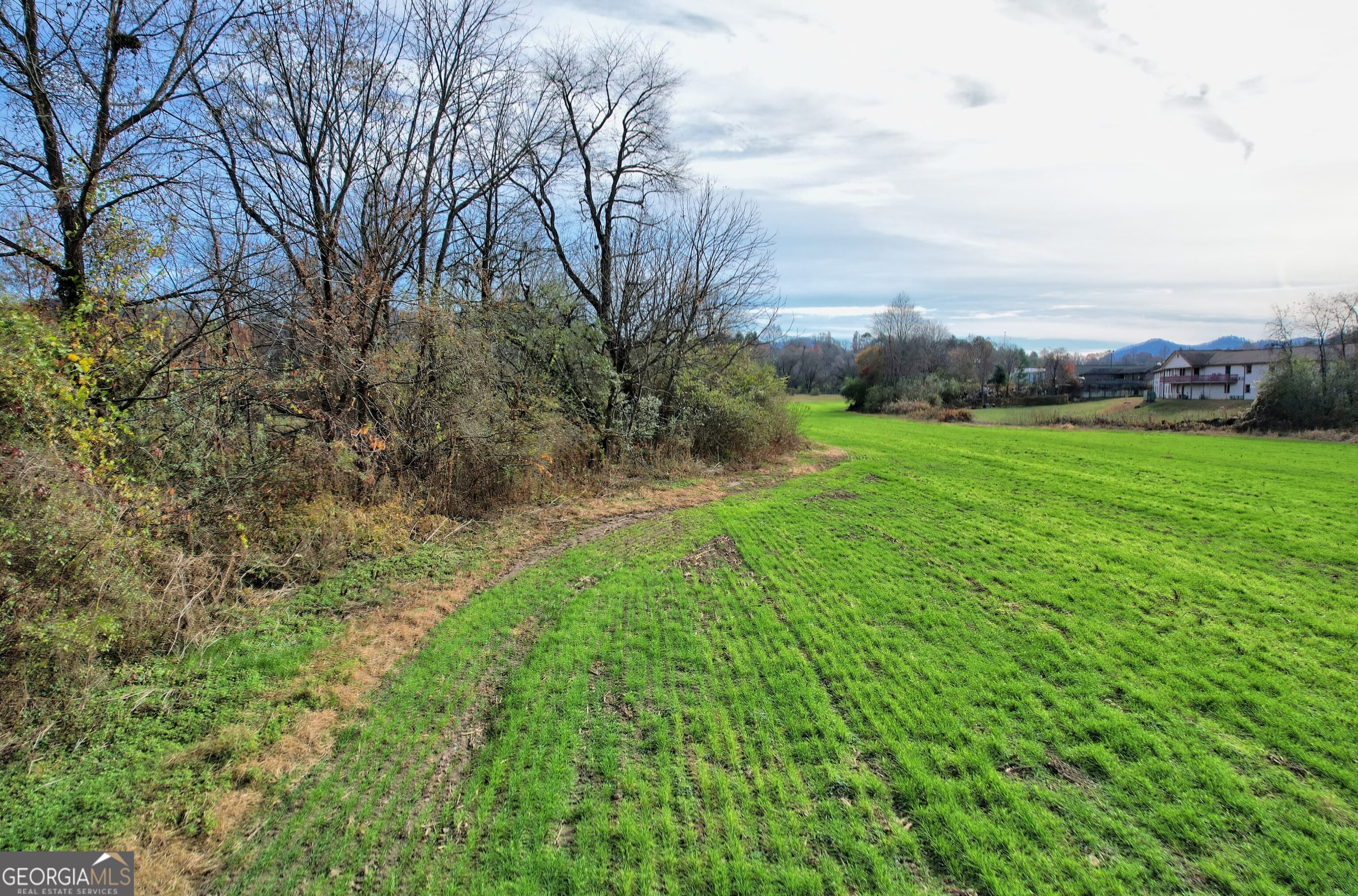 Dillard, Georgia 30537, United States, ,Land,Active,68449