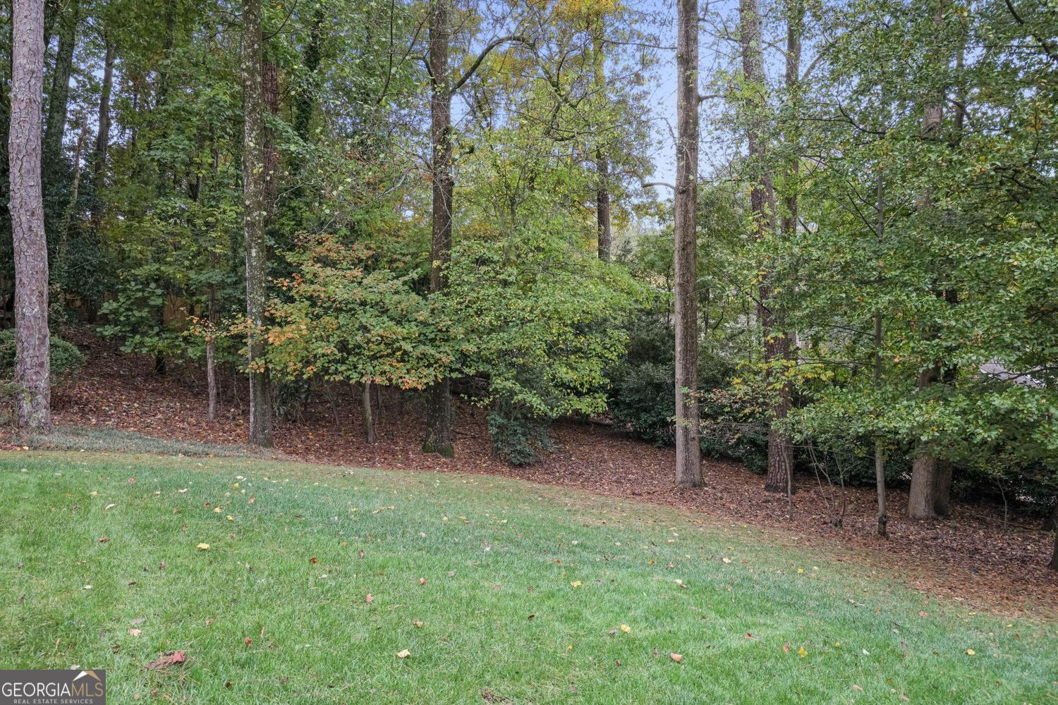 HIDDEN BRANCHES - Residential