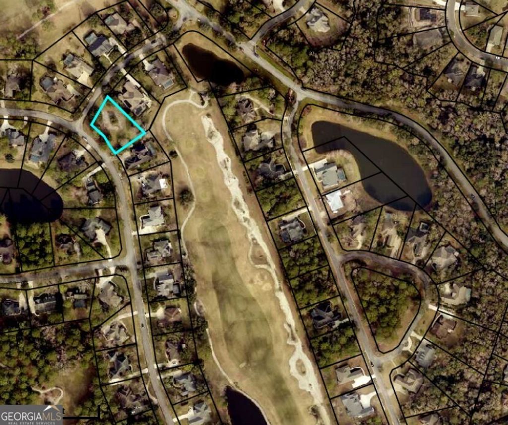 Photo of 10 Sandhill Crane Drive, St. Marys, GA 31558 (MLS # 10673229)