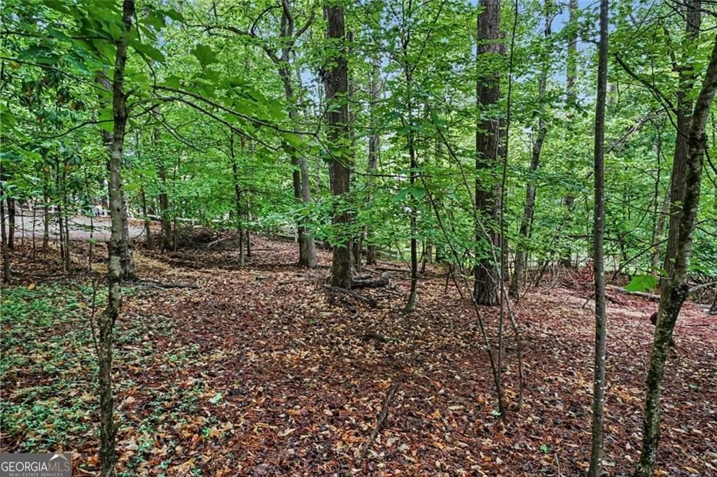 Photo of 3838 Wesley Chapel Road, Marietta, GA 30062 (MLS # 10756341)