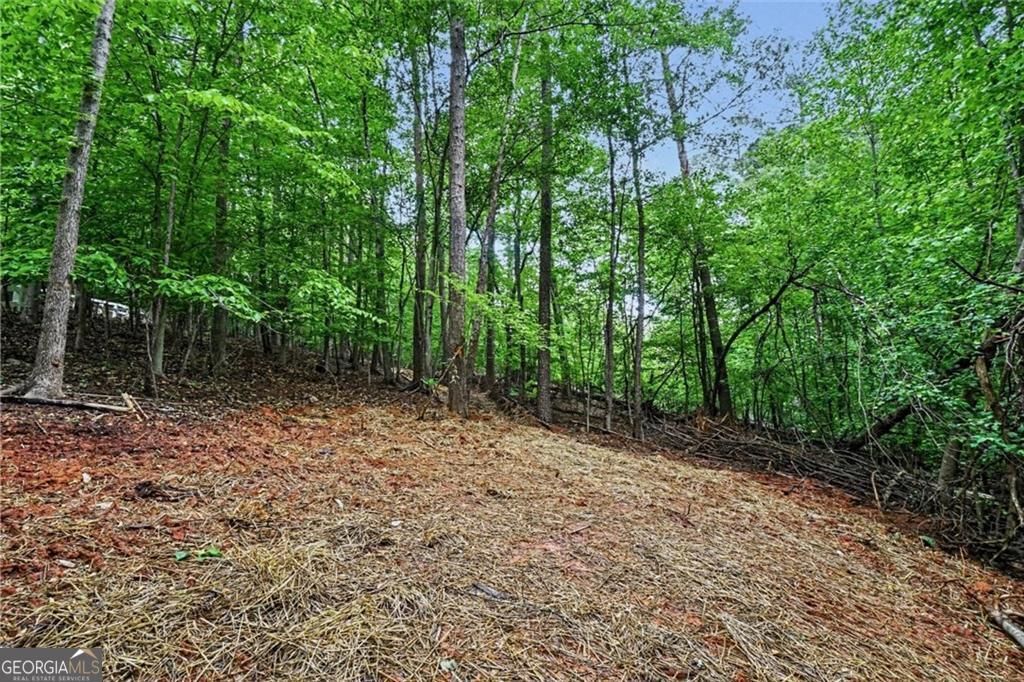 Photo of 3838 Wesley Chapel Road, Marietta, GA 30062 (MLS # 10756341)