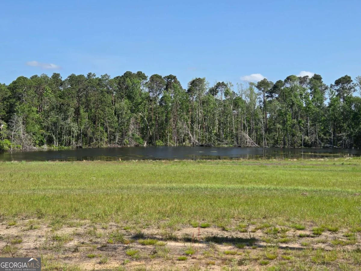 150 W Willow Lake Drive, Metter, GA, 30439