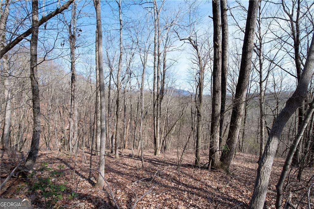 20.65 Acres Mincie Mountain