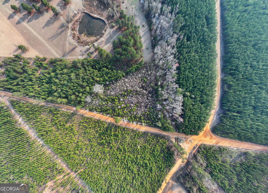 Photo of 522 Joyner Oglesby Road #LOT 4, Sardis, GA 30456 (MLS # 10708152)