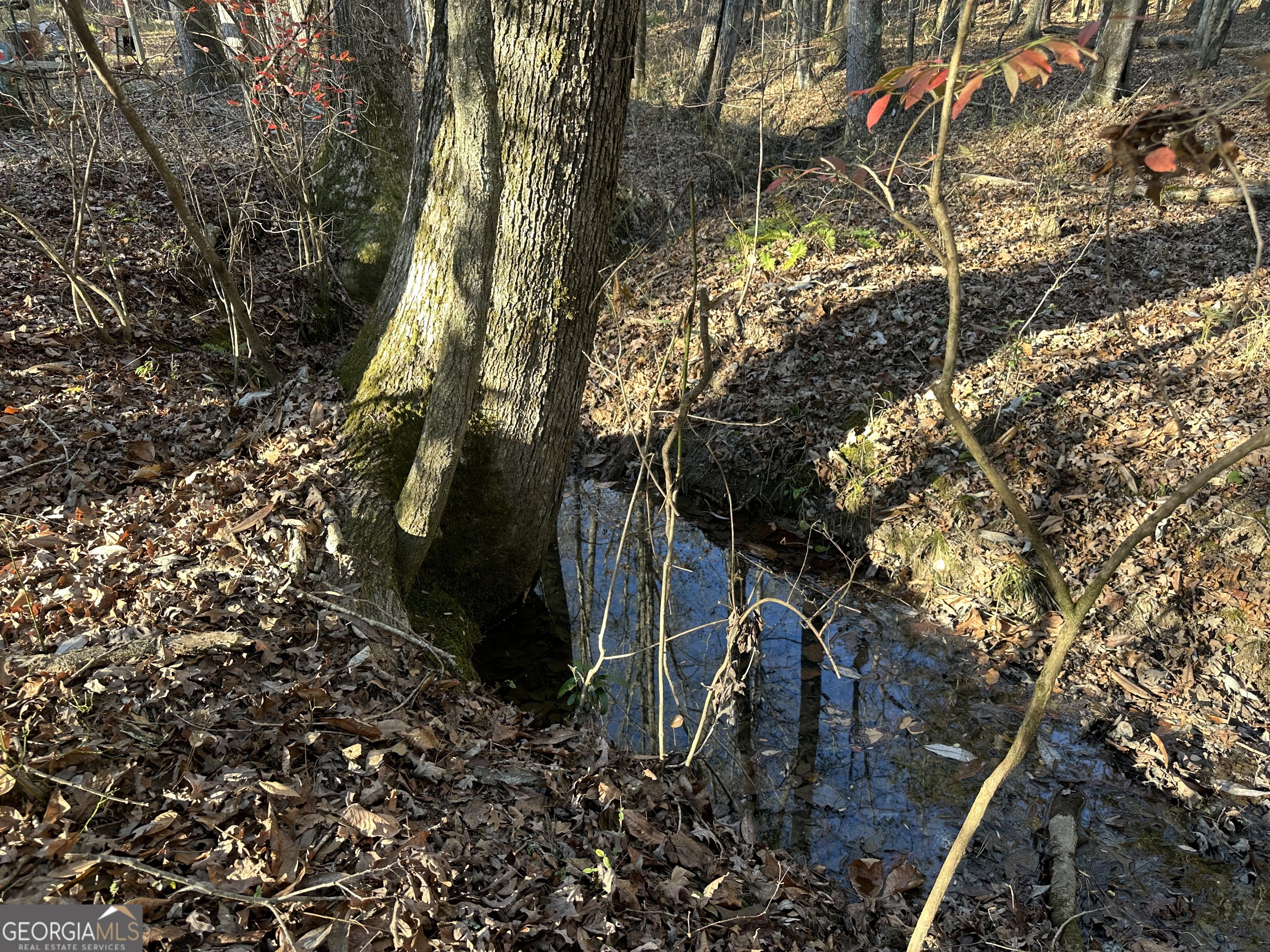 3016 Trammell Bottom RD