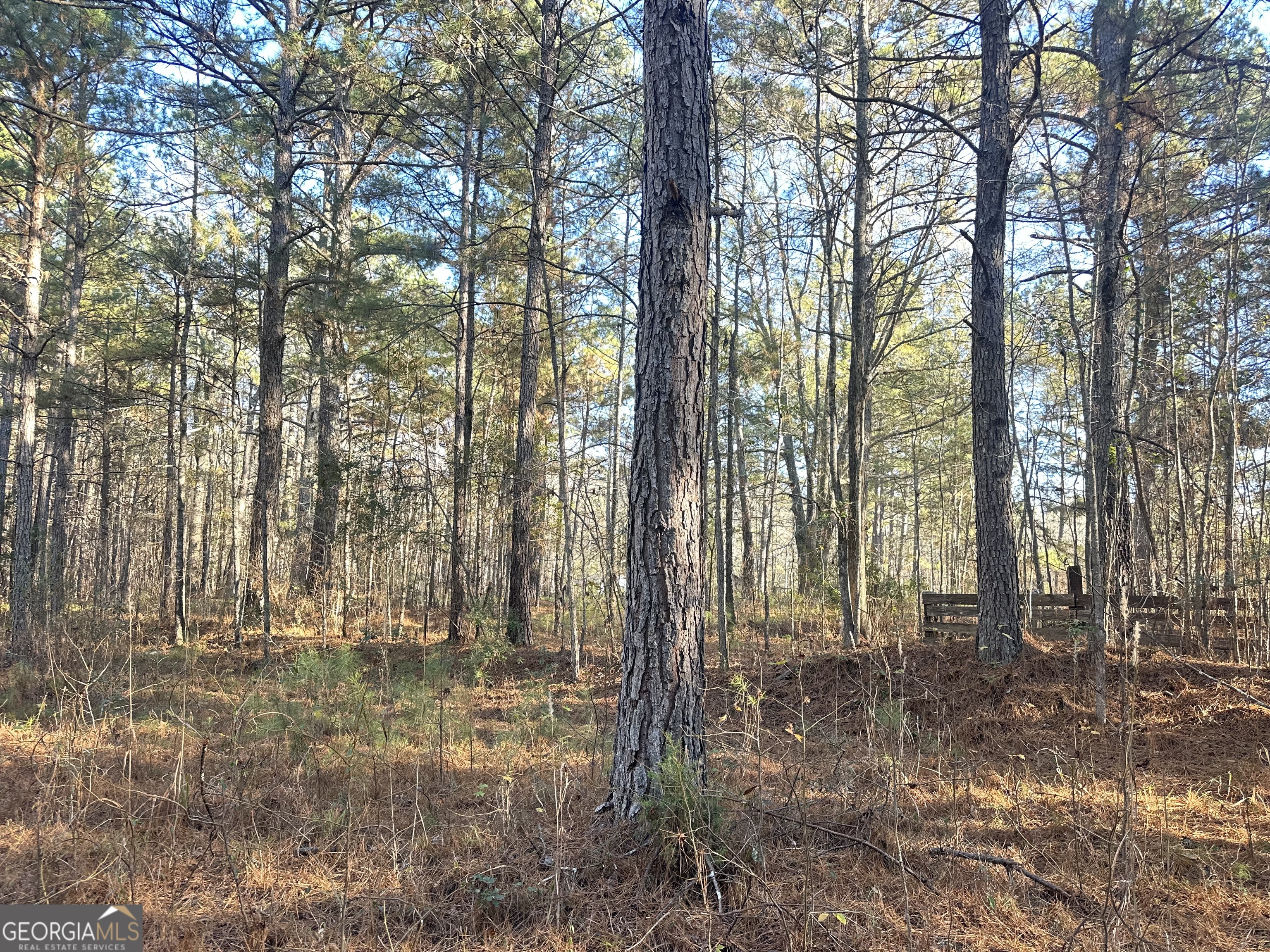 3016 Trammell Bottom RD