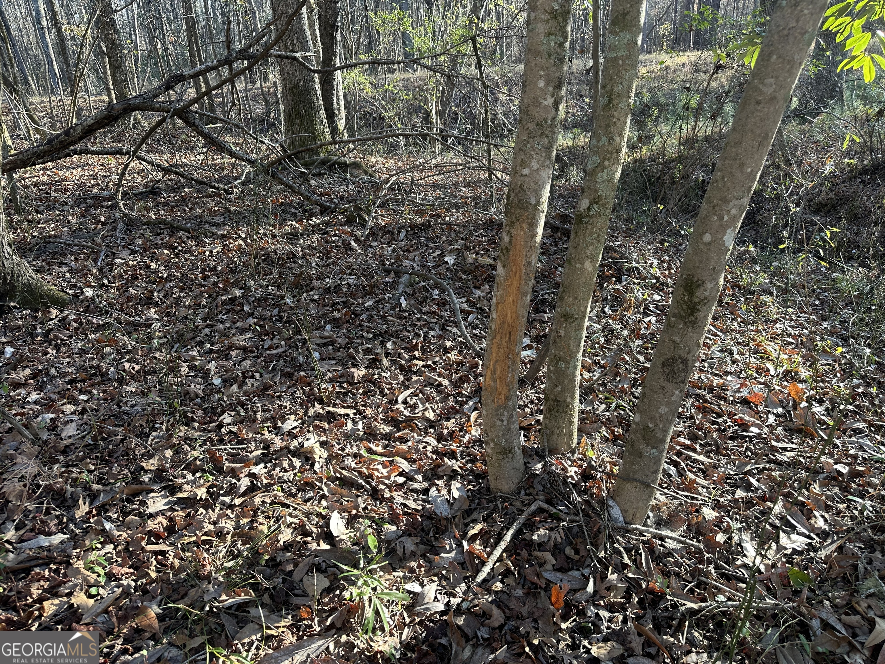 3016 Trammell Bottom RD