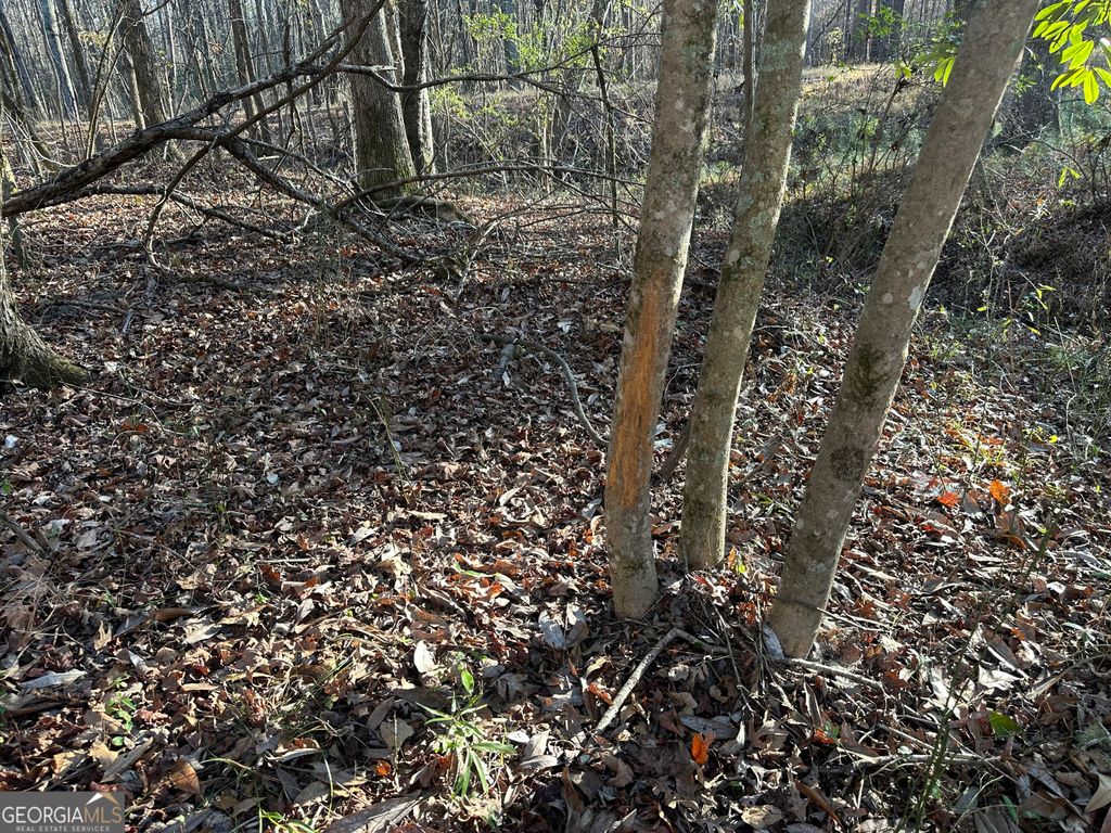 Photo of 3016 Trammell Bottom Rd, Hogansville, GA 30230 (MLS # 10657730)