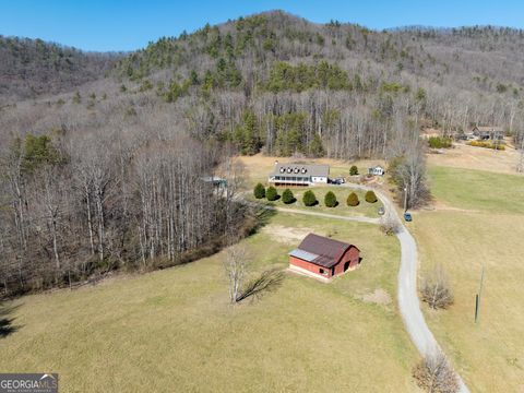 1420 Bridge Creek RD Tiger GA 30576