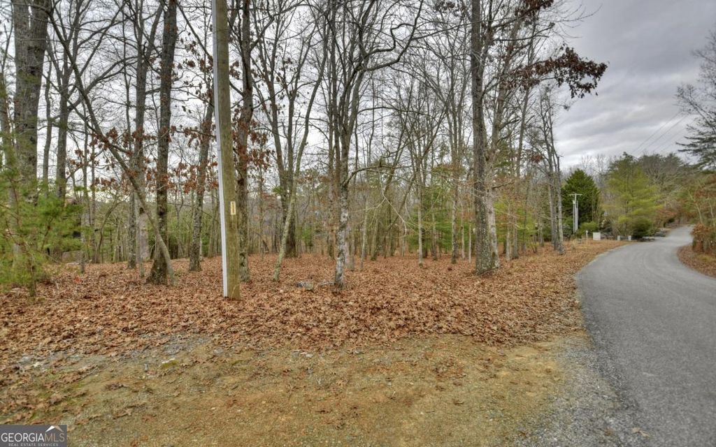 Photo of 57 Riverwalk On Toccoa #57, Mineral Bluff, GA 30559 (MLS # 10724664)