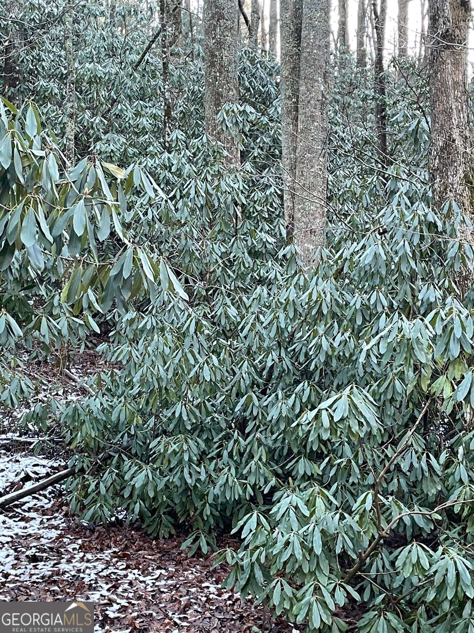 0 LOT 8 Bald Mountain RD LOT 8