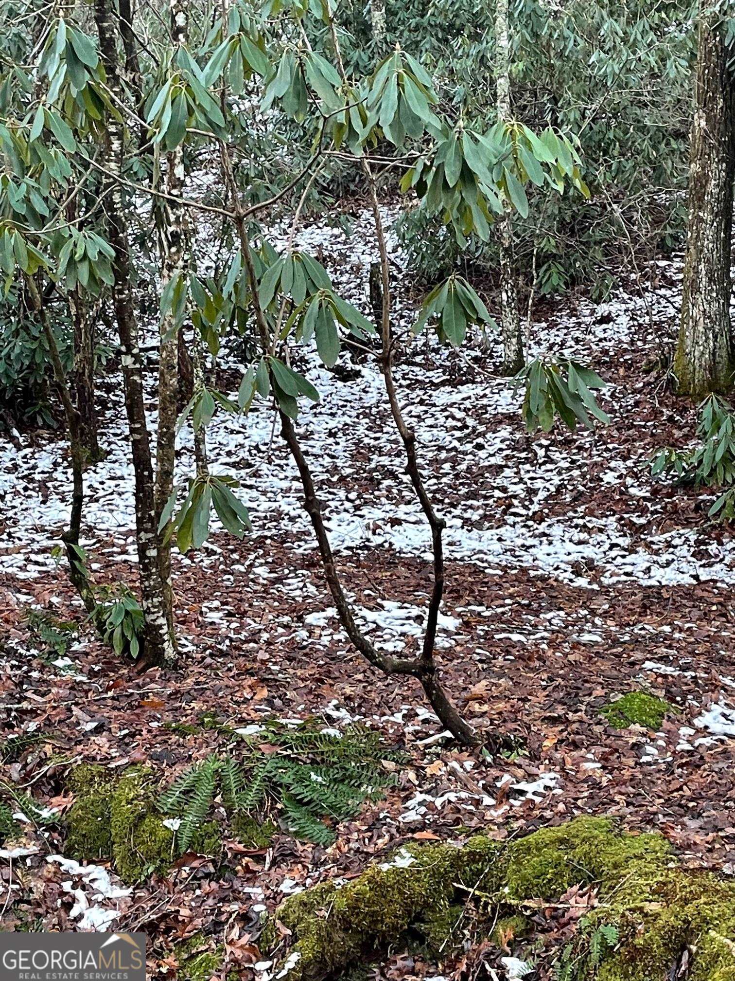 0 LOT 8 Bald Mountain RD LOT 8