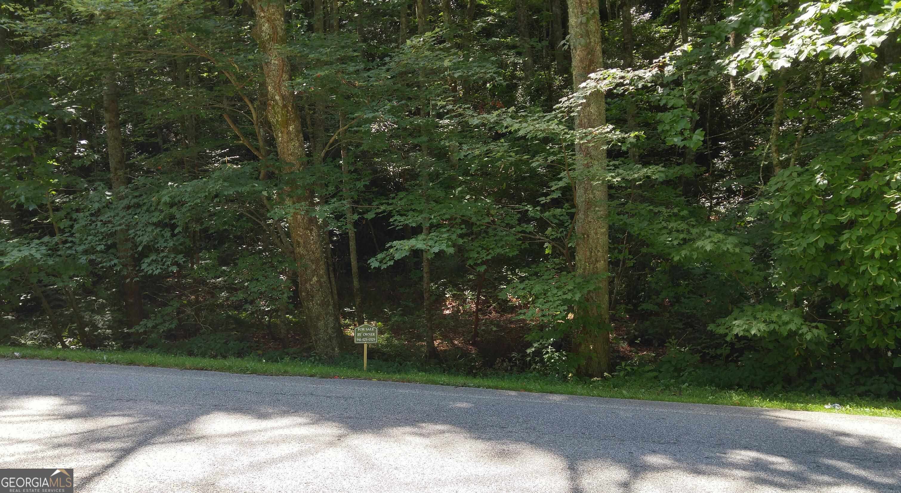 0 LOT 8 Bald Mountain RD LOT 8