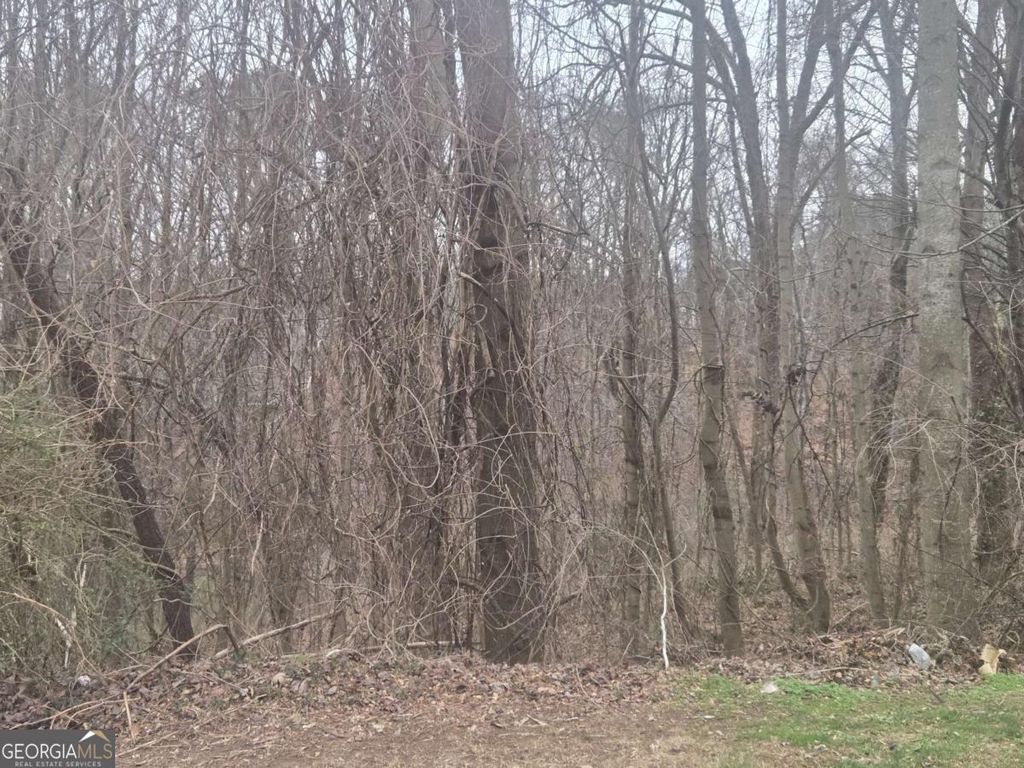 Photo of 0 Nellie Brook Drive, Mableton, GA 30126 (MLS # 10678513)