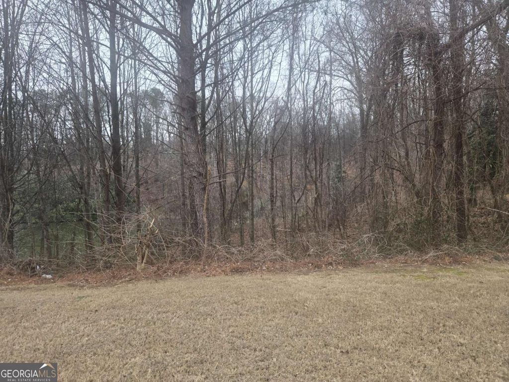 Photo of 0 Nellie Brook Drive, Mableton, GA 30126 (MLS # 10678513)
