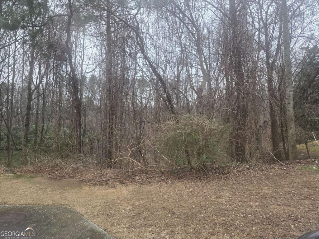Photo of 0 Nellie Brook Drive, Mableton, GA 30126 (MLS # 10678513)