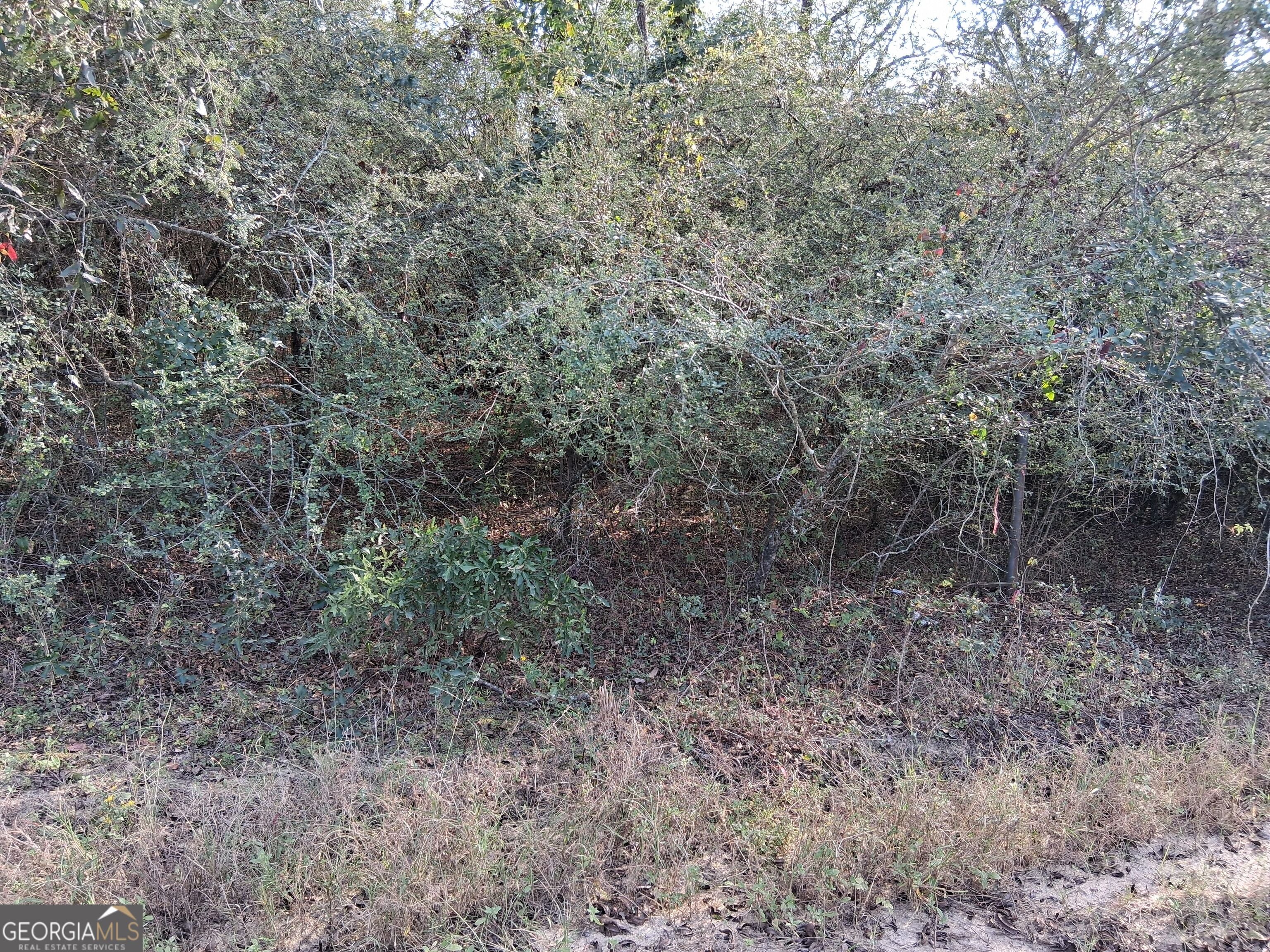 0 Tennille Harrison RD
