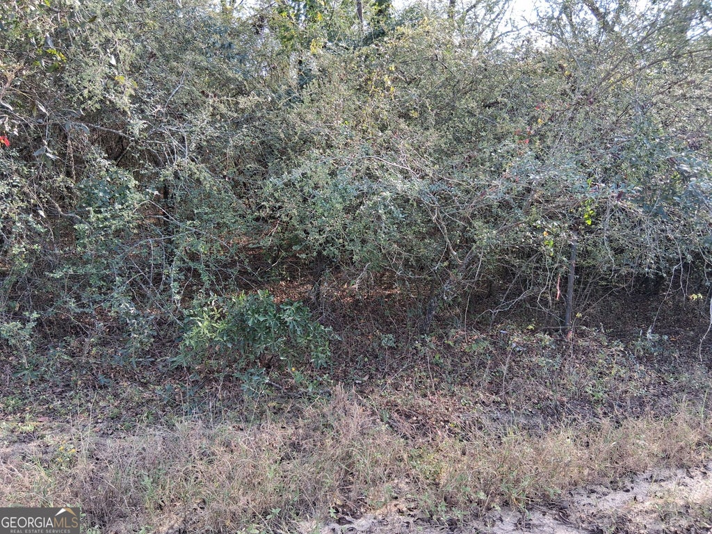 Photo of 0 Tennille Harrison Road, Tennille, GA 31089 (MLS # 10874516)