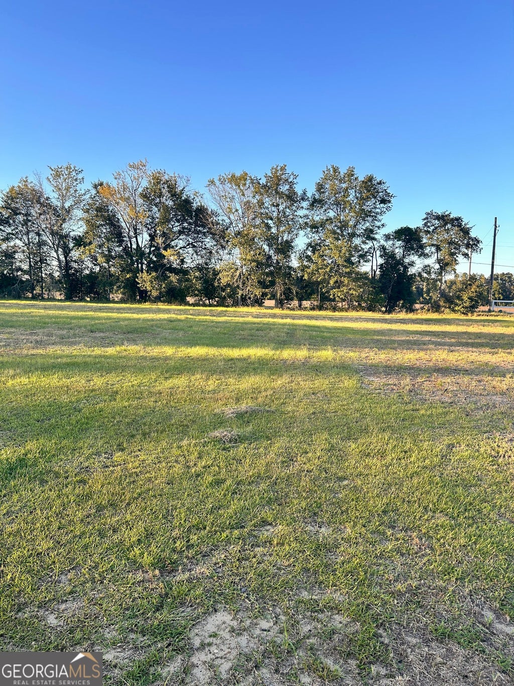 Photo of 0 Fay Dr, Statesboro, GA 30458 (MLS # 10876247)