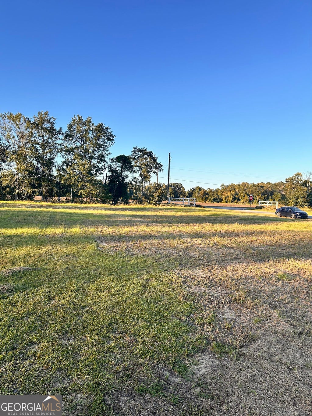 Photo of 0 Fay Dr, Statesboro, GA 30458 (MLS # 10876247)