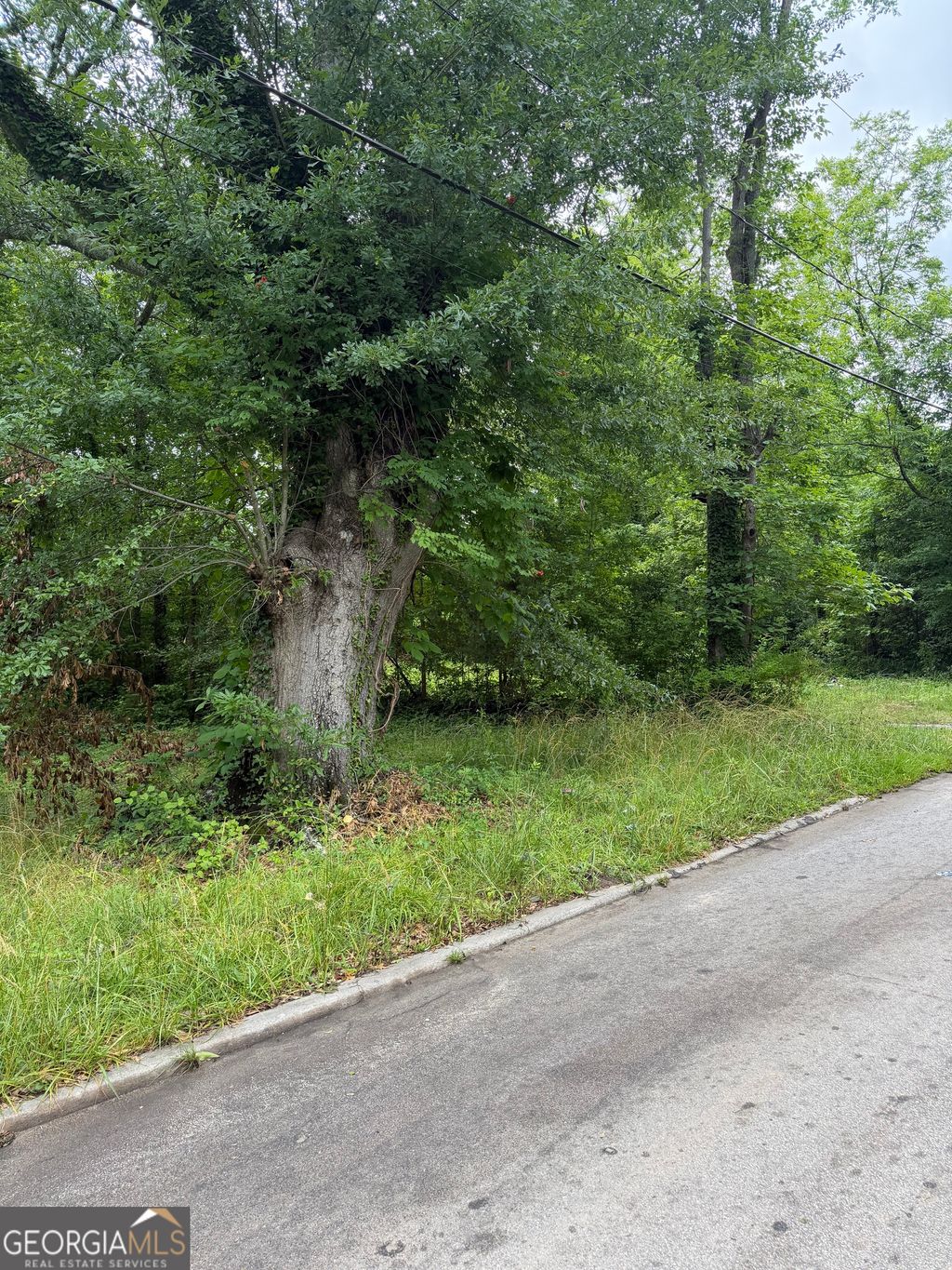 Photo of 731 Turner Street, Griffin, GA 30223 (MLS # 10774107)