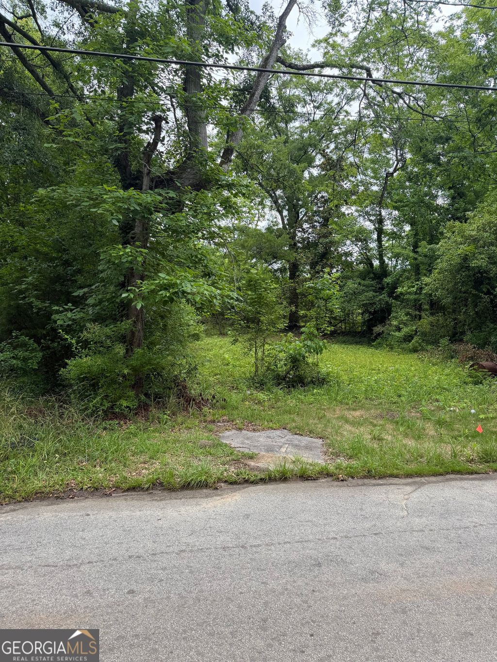 Photo of 731 Turner Street, Griffin, GA 30223 (MLS # 10774107)
