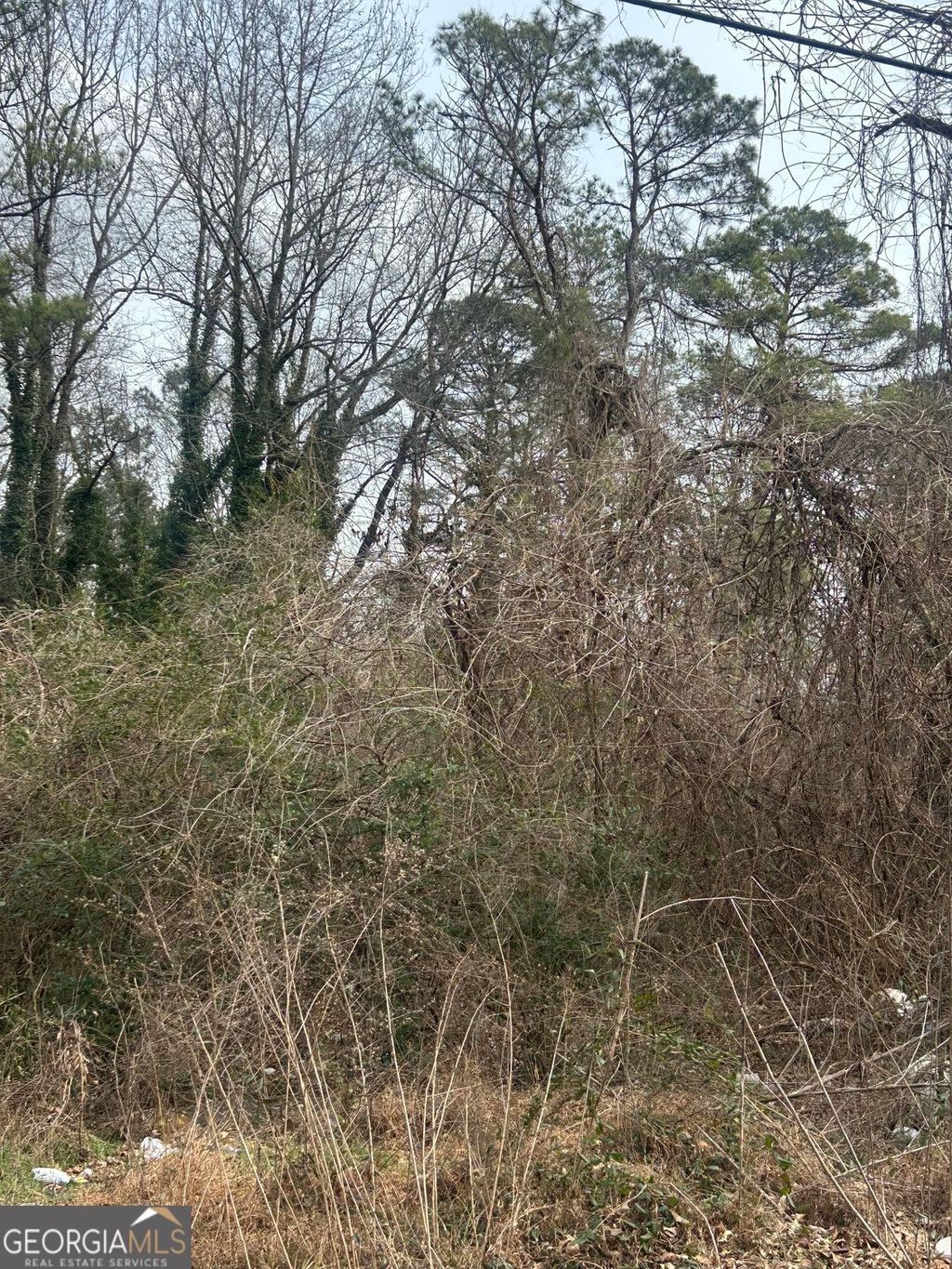 Photo of 4581 White City Road, Atlanta, GA 30337 (MLS # 10699709)