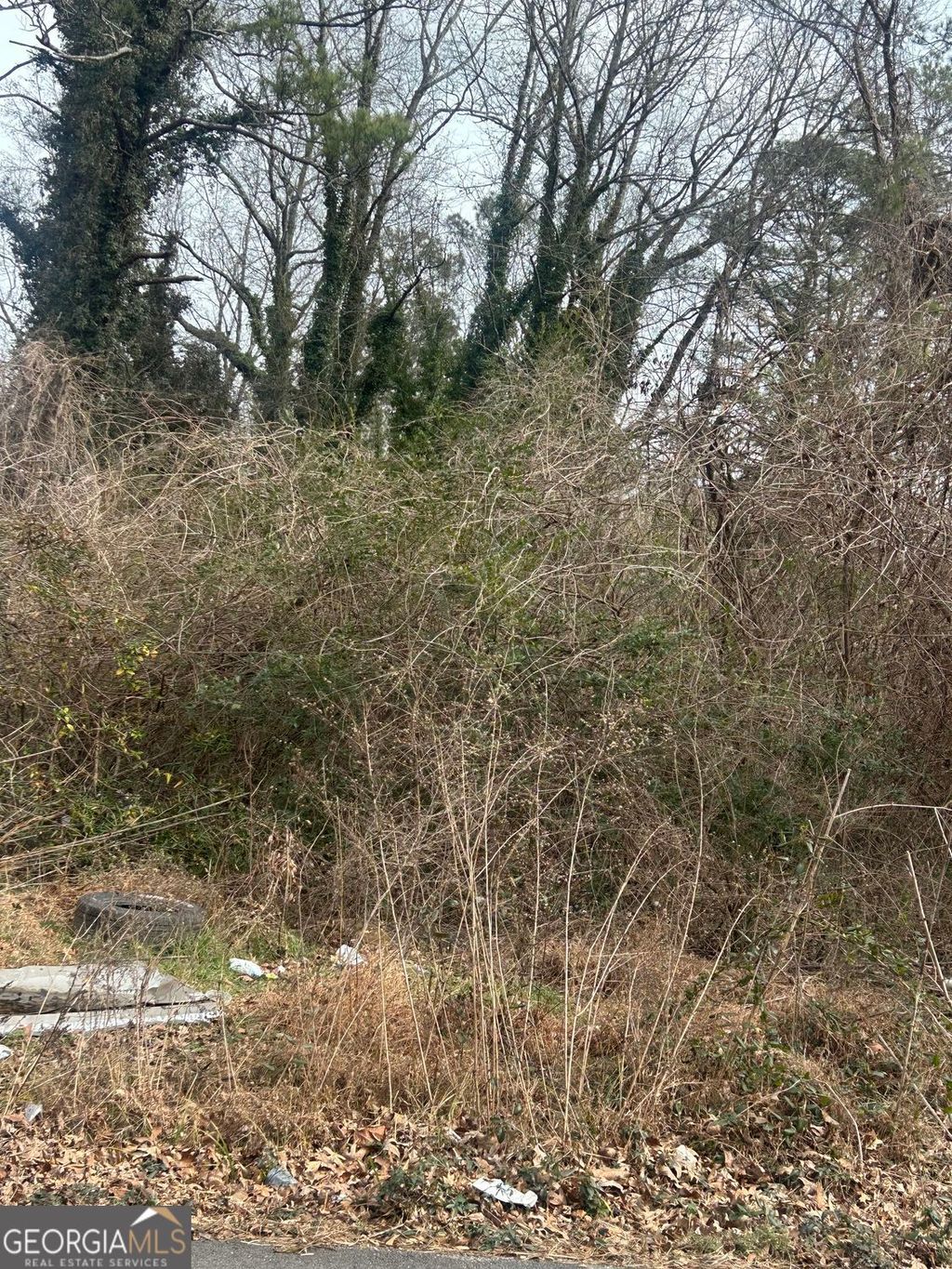 Photo of 4581 White City Road, Atlanta, GA 30337 (MLS # 10699709)