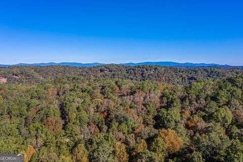 A home in Ellijay