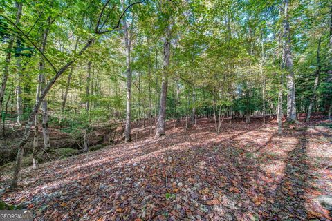 A home in Ellijay