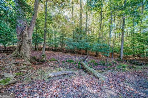 A home in Ellijay