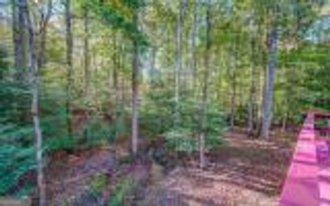 A home in Ellijay