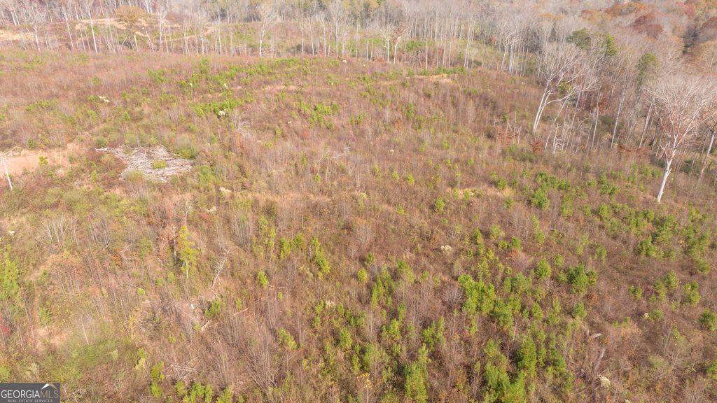 Photo of 0 Apple Pie Ridge #TRACT ONE, Alto, GA 30510 (MLS # 10659858)