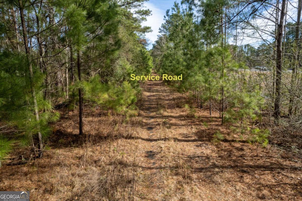 0 Abercorn EXT