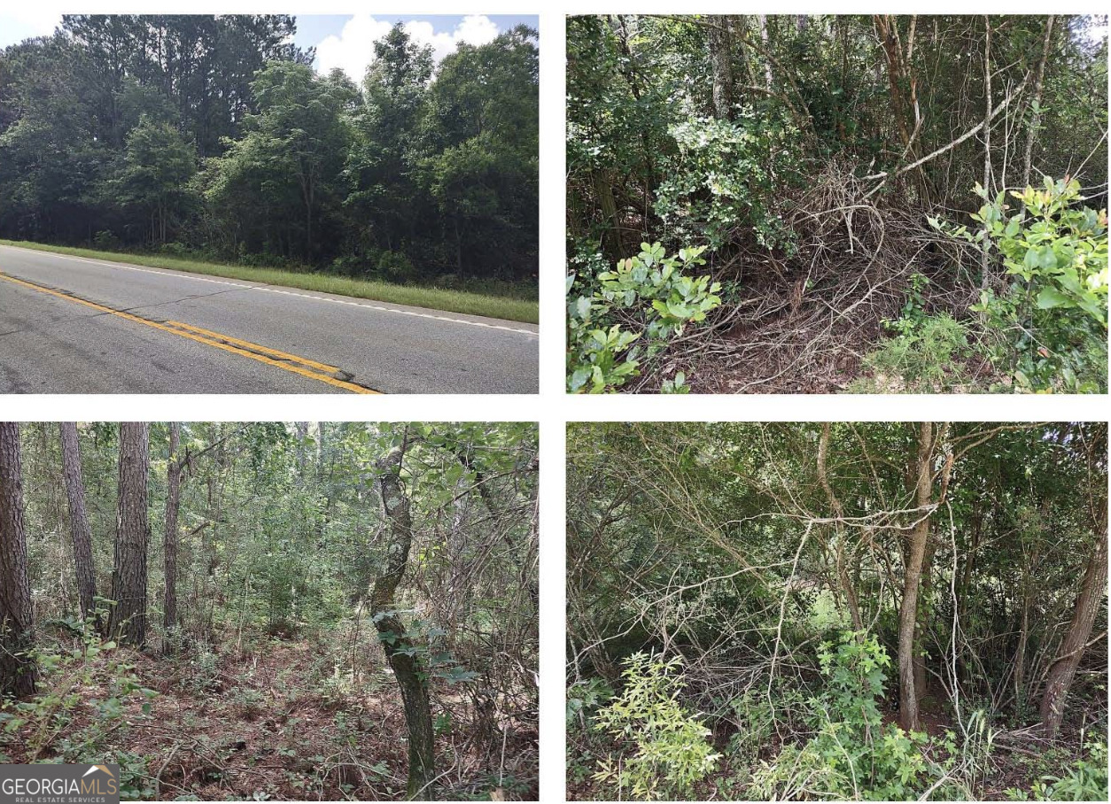 Fee simple lots with good visibility off Barnesville Highway.