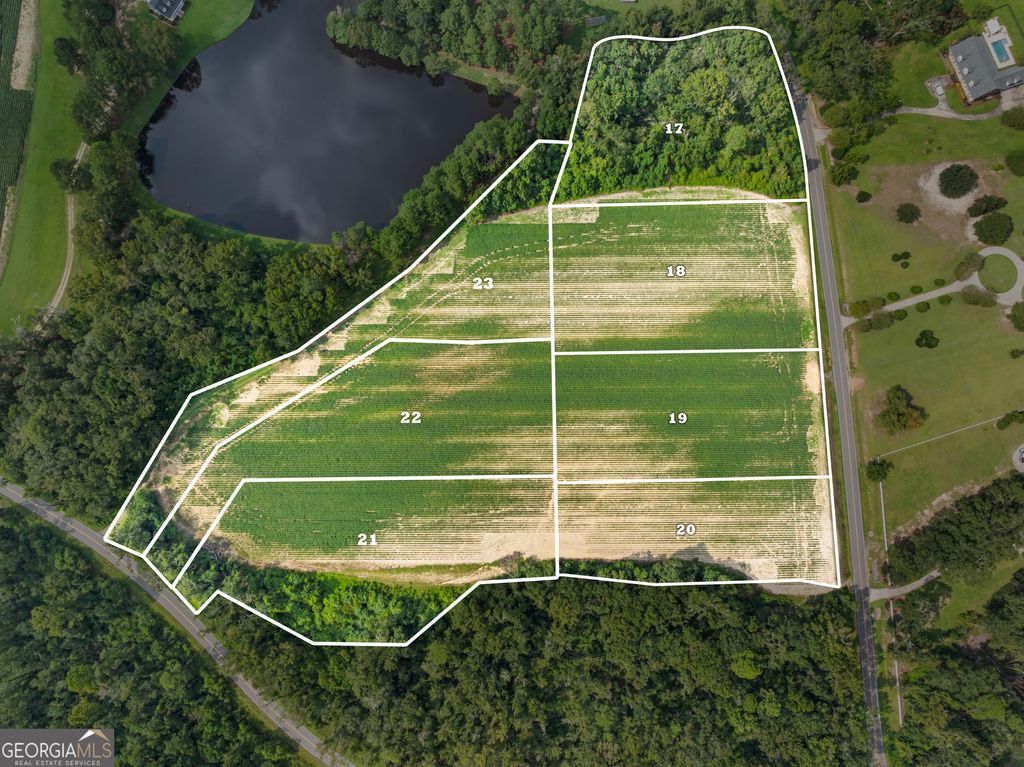 Photo of 0 Miller St Extension #LOT 19, Statesboro, GA 30458 (MLS # 10776328)