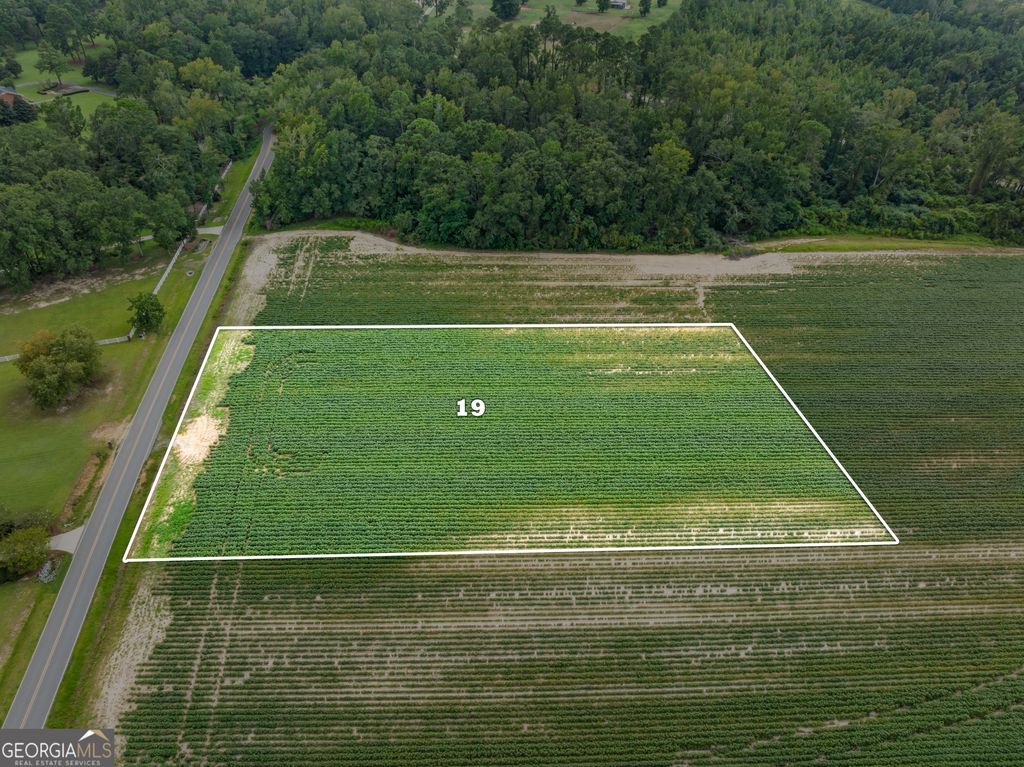 Photo of 0 Miller St Extension #LOT 19, Statesboro, GA 30458 (MLS # 10776328)