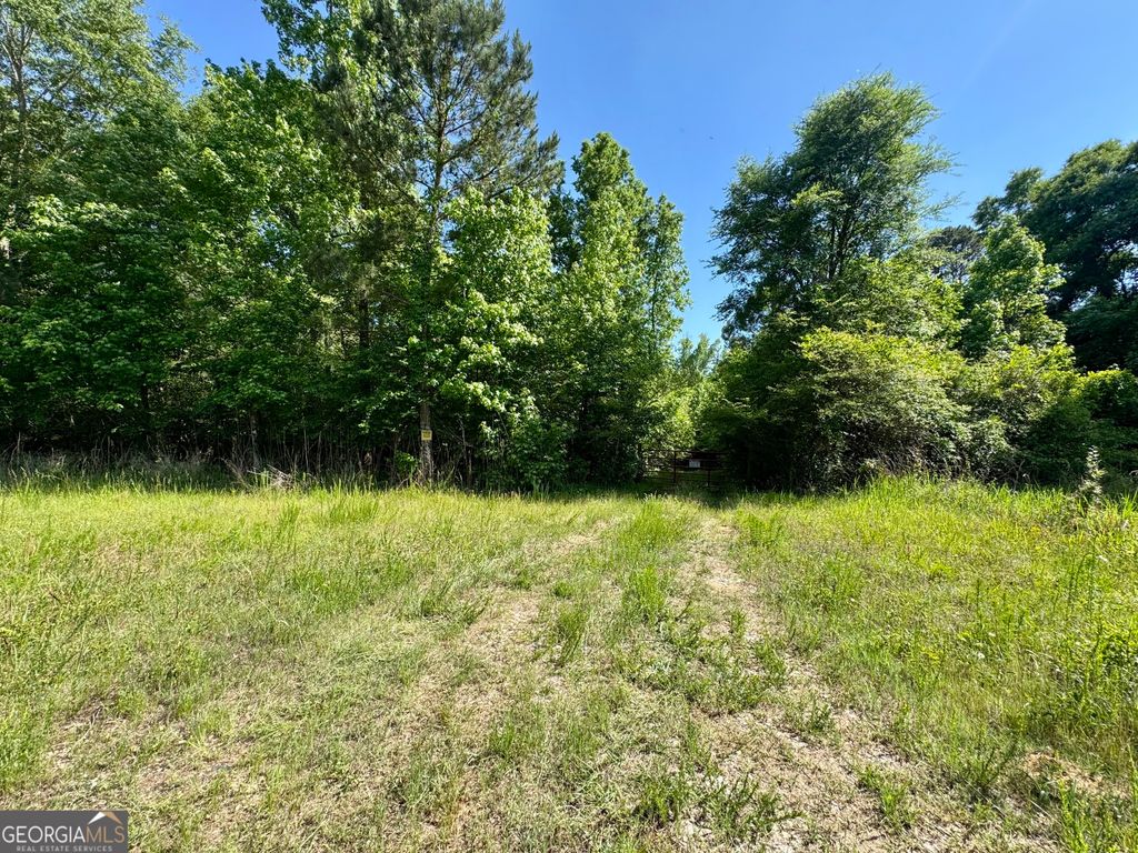 Photo of 000 Leslie Mill Road, Greensboro, GA 30642 (MLS # 10765844)