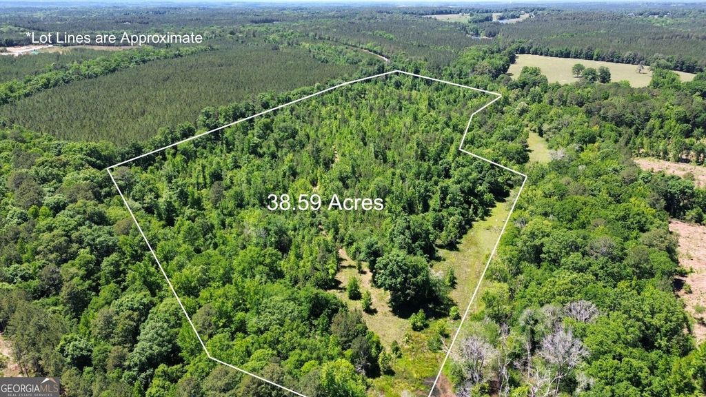Photo of 000 Leslie Mill Road, Greensboro, GA 30642 (MLS # 10765844)