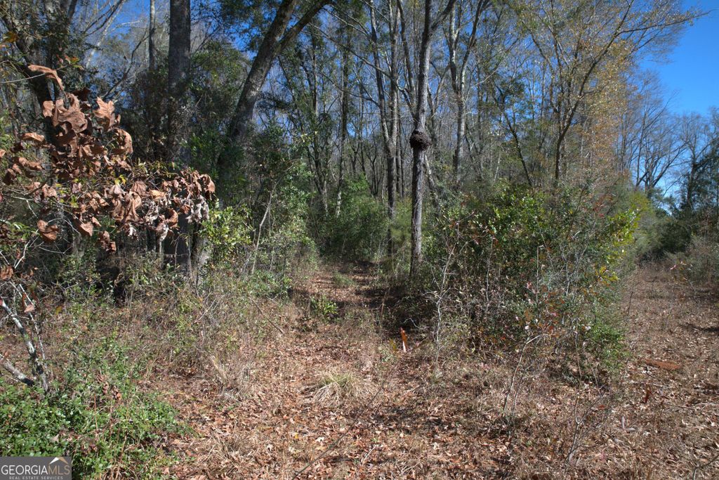 Photo of 920 Cordele Road, Albany, GA 31705 (MLS # 10712234)