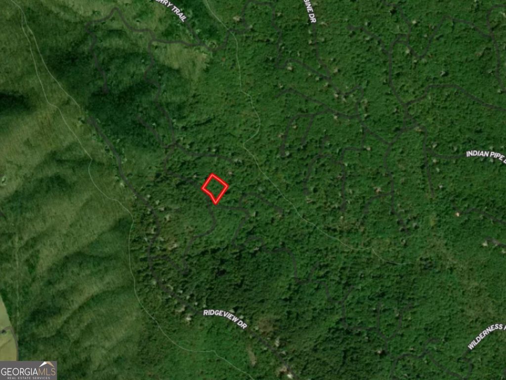 Photo of 0 Valley View Drive, Jasper, GA 30143 (MLS # 10625126)