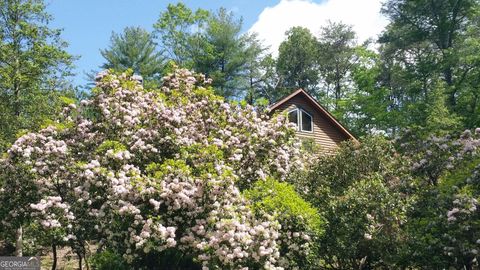 A home in Sautee Nacoochee