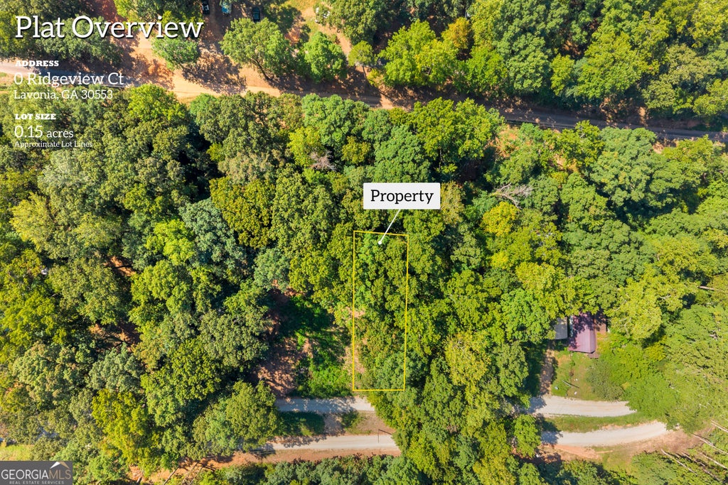 Photo of 0 Ridgeview Court, Lavonia, GA 30553 (MLS # 10840938)