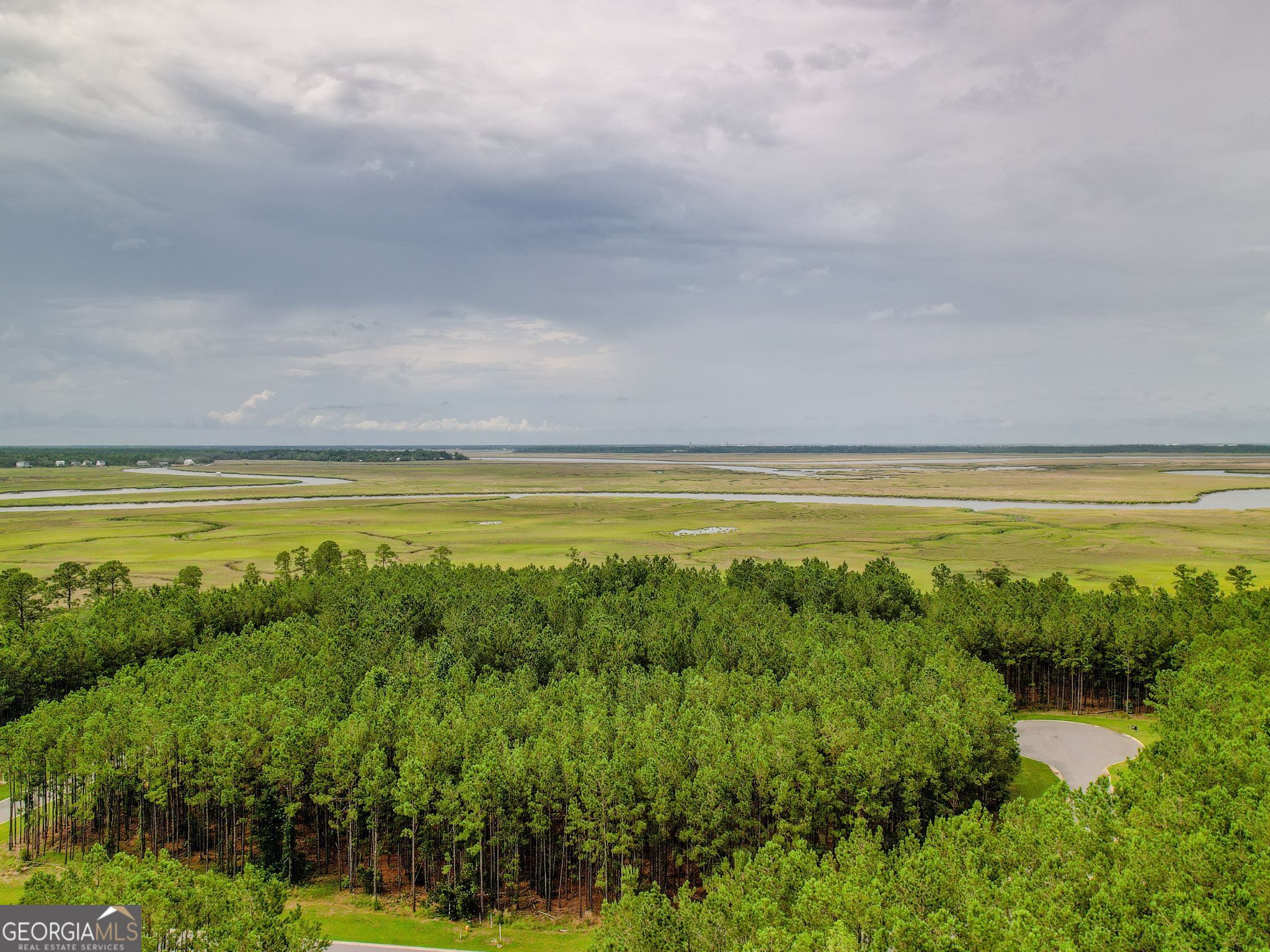 LOT 35 Sea Turtle LN