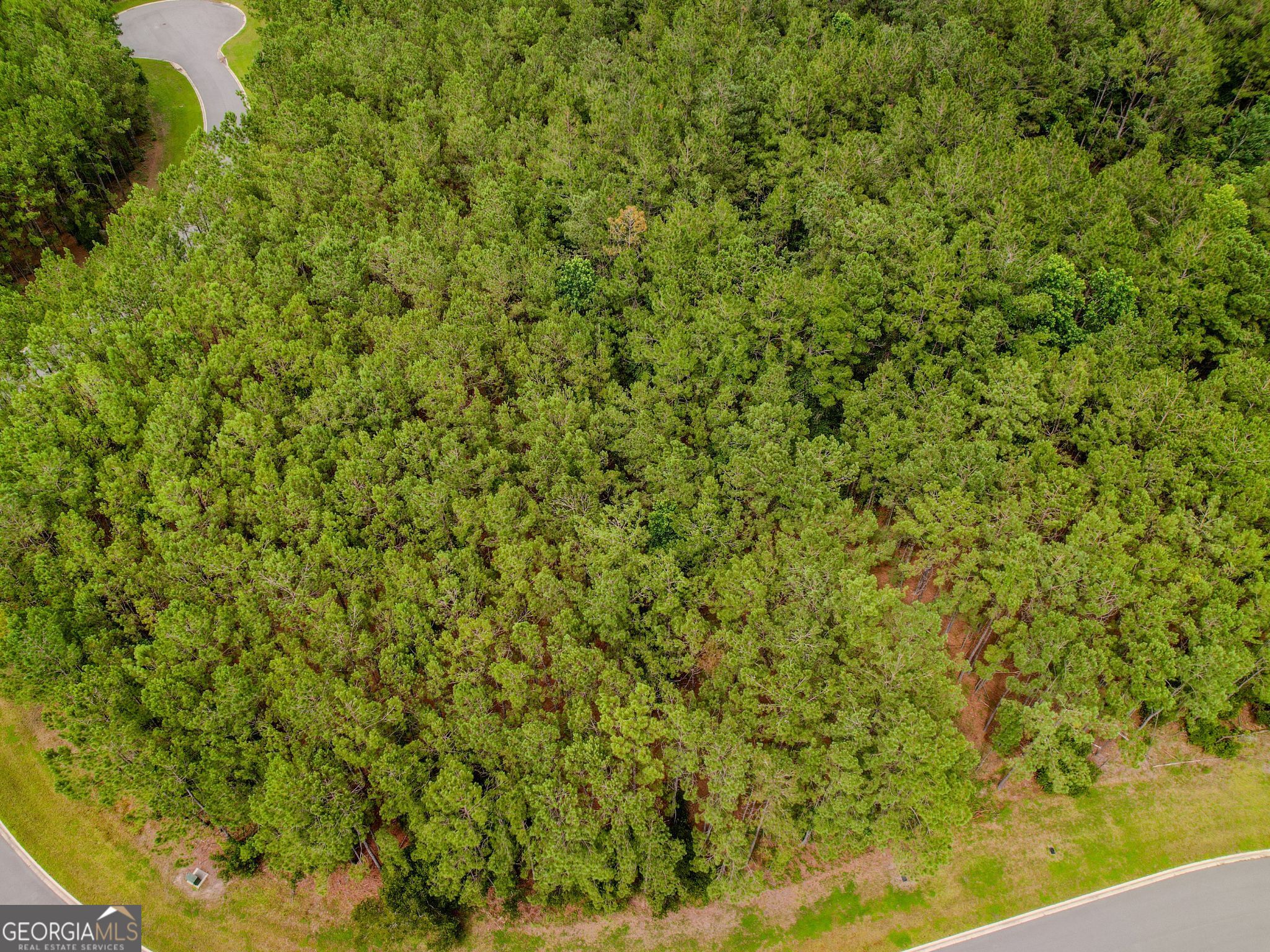LOT 35 Sea Turtle LN