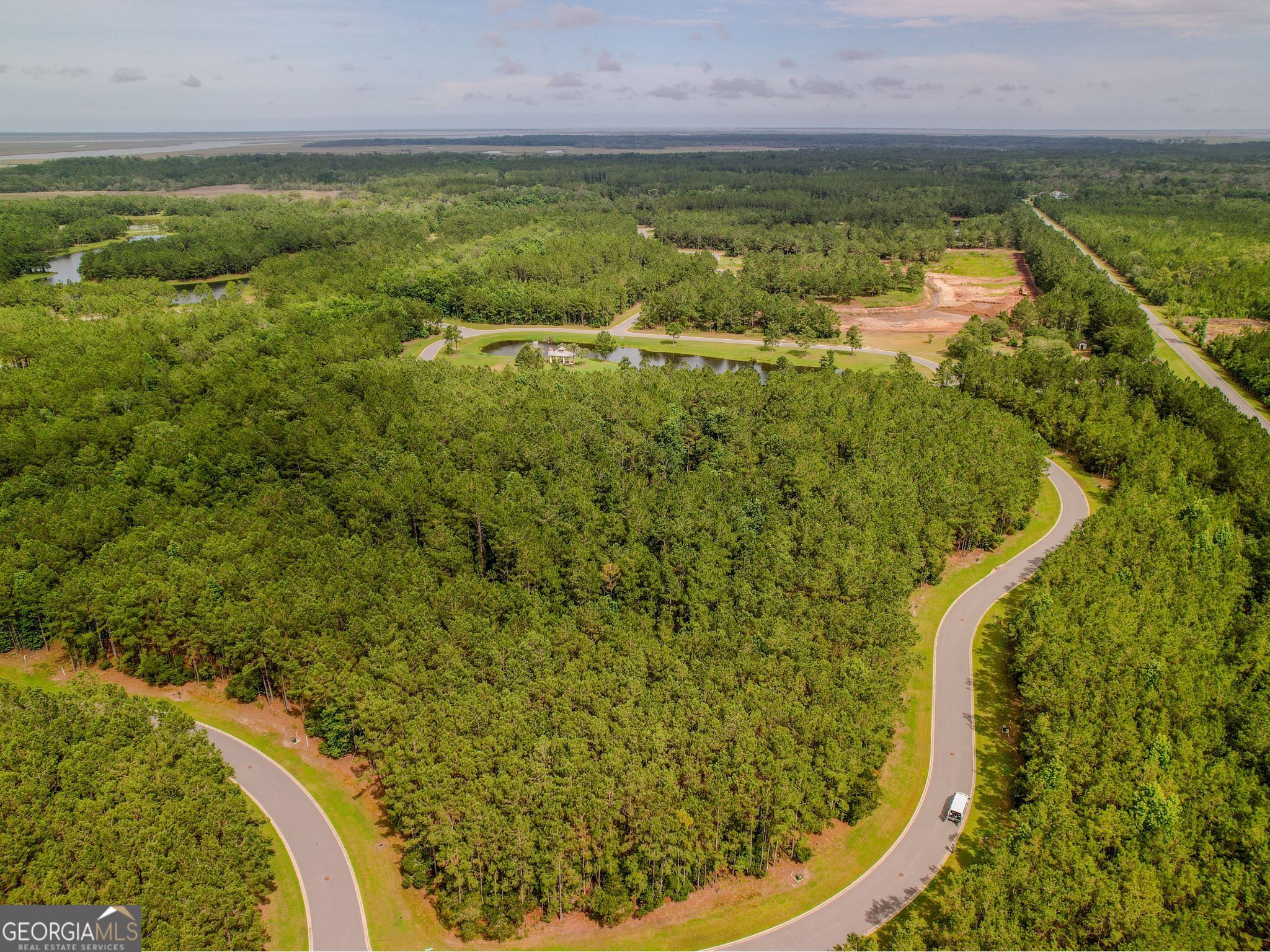 LOT 35 Sea Turtle LN
